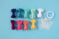 Tropical Ornaments Plastic Canvas Needlepoint Kit -Olympus Handmade Store il fullxfull.5561401515 30l8