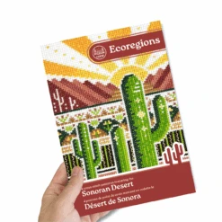 Ecoregions Cross Stitch Pattern Collection - Sonoran Desert -Olympus Handmade Store pigeon coop cross stitch sonoran dessert 10