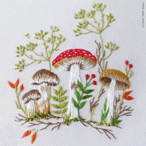 Forest Mushrooms Hand Embroidery Kit 5 Forest Mushrooms Hand Embroidery Kit - Image 3