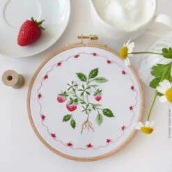 Strawberry Cake Hand Embroidery Kit